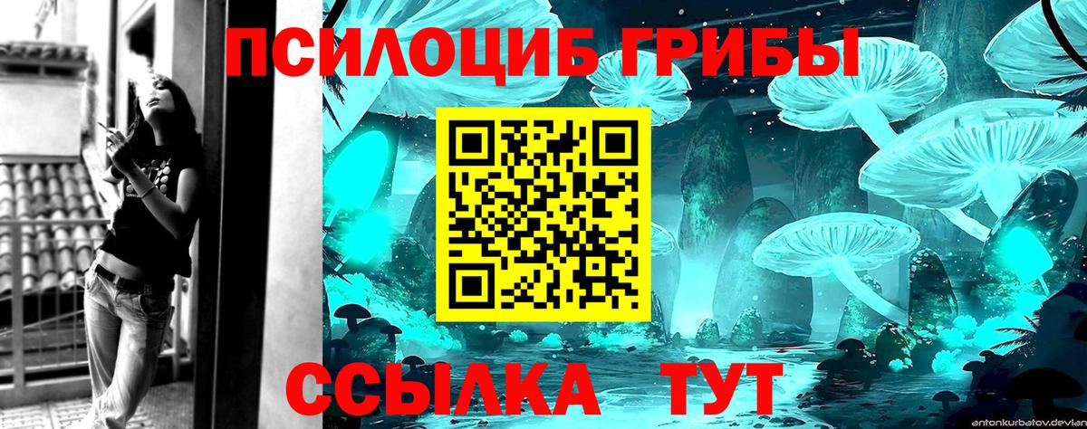 Псилоцибиновые грибы Psilocybe  Вход с VPN  как найти наркотики  Мирный  Псилоцибиновые грибы мицелий 
